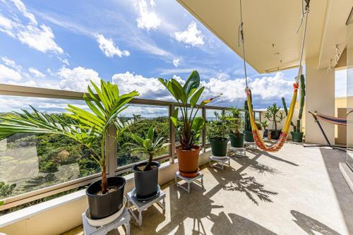 a balcony with a bunch of potted plants on it at Laguna Fuchaku in Onna