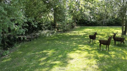 モファットにあるScarthingmoor Houseのギャラリーの写真