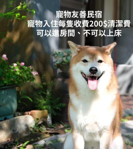 Imagen de la galería de 玉蟾園民宿 寵物友善 YuChanYuan B&B, en Chishang