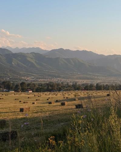 a field of hay with mountains in the background at Family Eco Farm Getaway in Ryskulovo