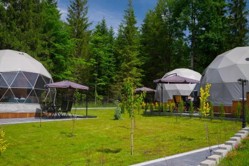 Сад в Glamp Mała Łąka Jacuzzi & Sauna Zakopane