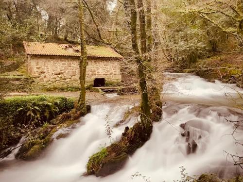 Paesaggio naturale nelle vicinanze dell'appartamento