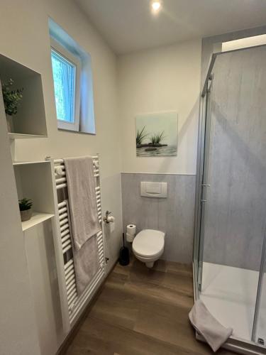 a bathroom with a toilet and a glass shower at Hotel-Restaurant Jägerhof in Reinsfeld