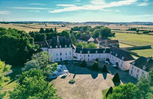 an aerial view of a large white house with trees at Domaine familial du château de Ragny in Savigny-en-Terre-Plaine