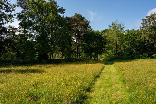 a field of grass with a dirt road at Herstmonceux Castle - Bader Hall in Herstmonceux