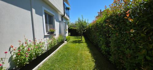 Zahrada ubytování Marena B&B
