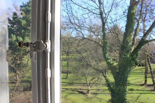 a window with a view of a tree at Huus Am Streek Padd in Cuxhaven