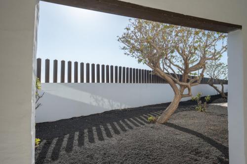 Gambar di galeri bagi Hotel LIVVO Volcán Lanzarote di Playa Blanca