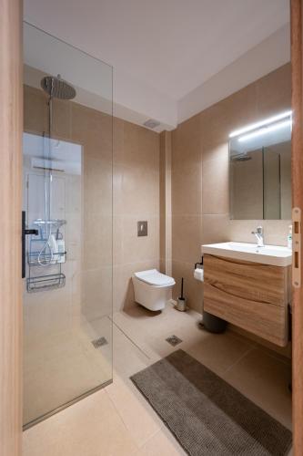 a bathroom with a sink and a toilet and a shower at Elysia Apartment in Pogoniá