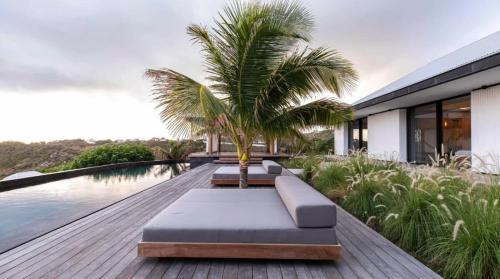 a palm tree sitting on the deck of a house at Luxurious Villa with Ocean Views in Pointe Milou in Pointe Milou