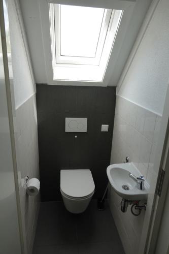 a bathroom with a toilet and a sink with a skylight at Bungalow Het Uilennest | 6 personen - Vakantiepark De Kremmer in Gasselte