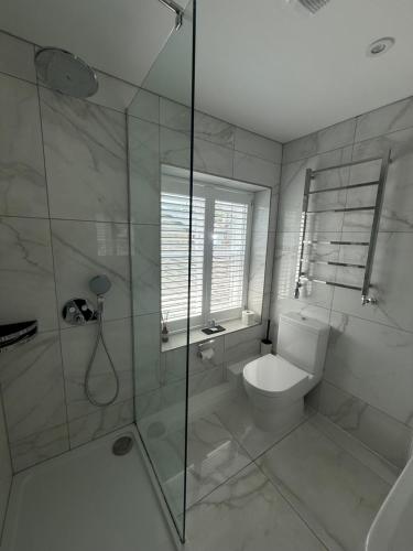 a bathroom with a toilet and a glass shower at 3 Millstones Inn in West Bradford