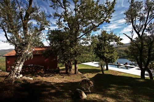 a dog standing next to a house with trees at GoToGeres - Casa da Eira - Sobrenatura in Arcos de Valdevez