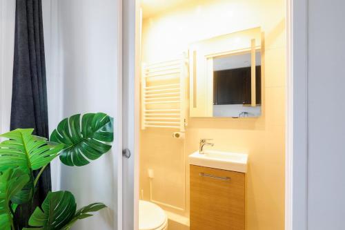 a bathroom with a sink and a toilet and a mirror at Studio cosy proche Paris et du Bois de Vincennes in Charenton-le-Pont