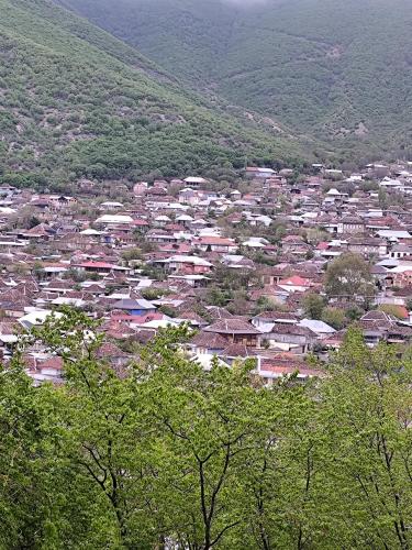 a small town with houses and trees in a valley at The Walley Shaki Mountinn in Sheki