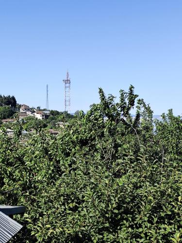 a hedge of trees with a tower in the background at The Walley Shaki Mountinn in Sheki