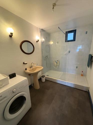 La salle de bains est pourvue d'un lave-linge et d'une douche. dans l'établissement Maison à Troyes, à Troyes