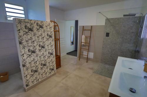 a bathroom with a shower and a sink at L'Hacienda in Saint-Pierre