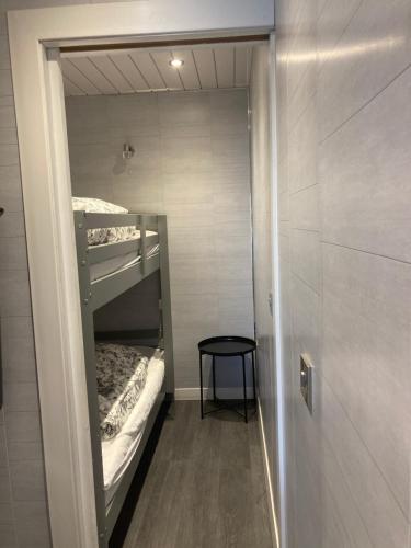 a small room with two bunk beds in it at The Boatyard Glamping Lodges-Birchwood Lodge in Enniskillen