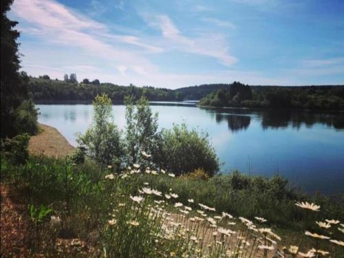 a view of a large river with trees and bushes at Holiday Home near Ravel Cycling paths in Heuem