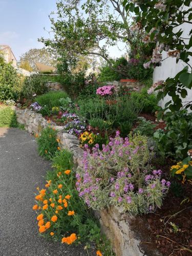 a garden filled with lots of different colored flowers at Chambres d'hôtes Escale à Bouin in Bouin