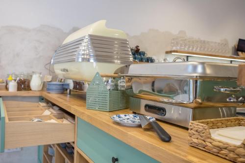 a kitchen with a counter with a mixer on it at Vlaštovčí dům in Nové Město nad Metují