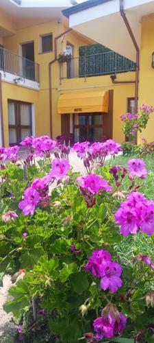 a bunch of pink flowers in front of a building at Su Arghentu Country Hotel in Laerru