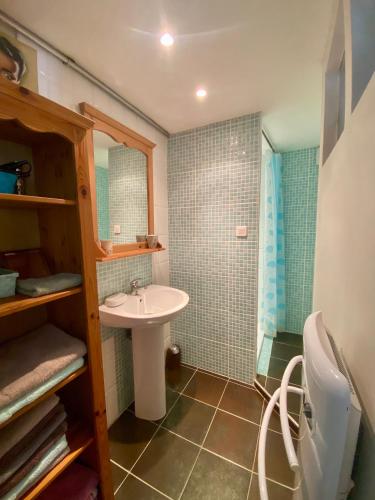 une petite salle de bain avec un lavabo et une douche dans l'établissement Charmant F1 avec terrasse et vue sur jardin arboré - fraicheur naturelle du rez de jardin - parking, à Bellerive-sur-Allier