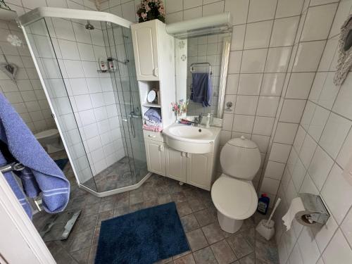 a bathroom with a toilet and a sink and a shower at Villa Jan in Öckerö