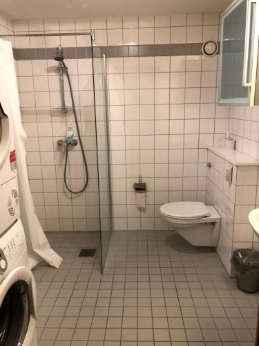 a bathroom with a shower and a toilet at Guesthouse Platina centrum in Oslo