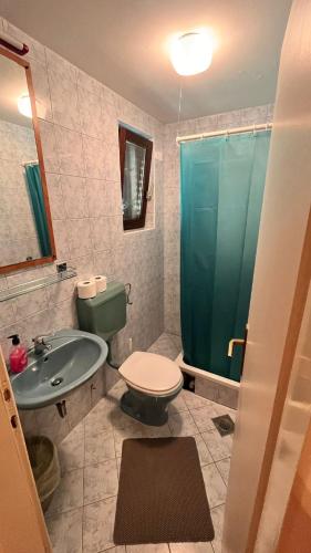 a bathroom with a toilet and a sink and a shower at Apartment Antea in Tučepi