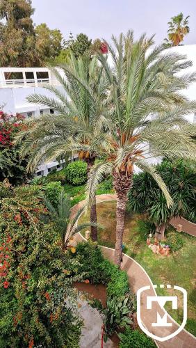 a palm tree in a garden next to a building at Hotel La Residence Hammamet in Hammamet