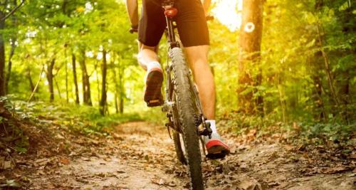 una persona che va in bicicletta su un sentiero nel bosco di Maison spacieuse à Thun-Saint-Martin avec jardin a Thun-Saint-Martin