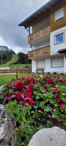 Zahrada ubytování Alpenroyal Arabba