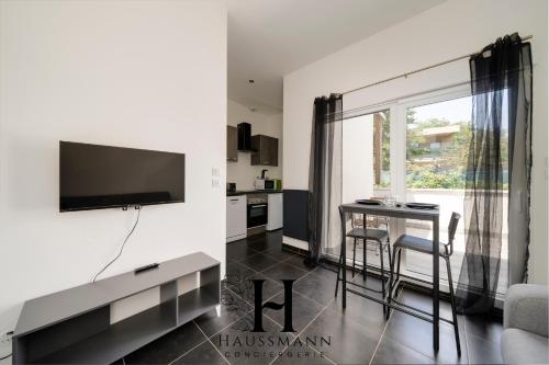 Televizorius ir (arba) pramogų centras apgyvendinimo įstaigoje Studio avec terrasse Nancy