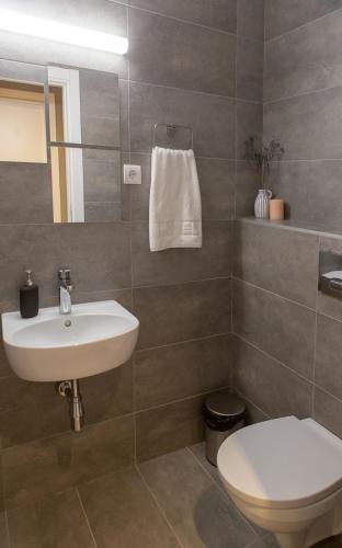 Ein Badezimmer in der Unterkunft DivciCasa apartments Divčibare