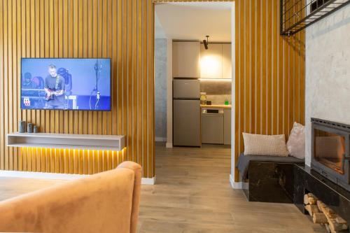 TV/Unterhaltungsangebot in der Unterkunft DivciCasa apartments Divčibare