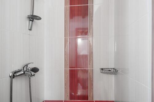 a shower with a glass door in a bathroom at Nicolas House 1 in Rakhídhion