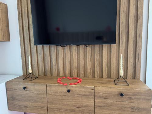 TV a/nebo společenská místnost v ubytování Hotel Vila AARON