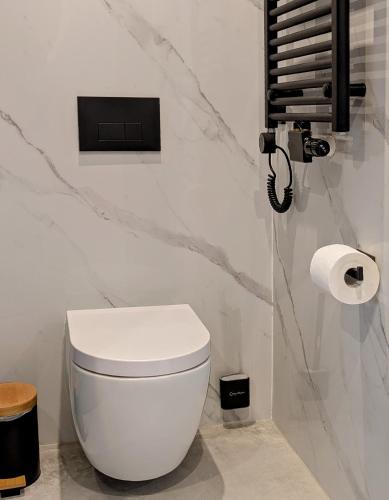 a bathroom with a white toilet and a roll of toilet paper at Green Heart Suites in Podljubelj