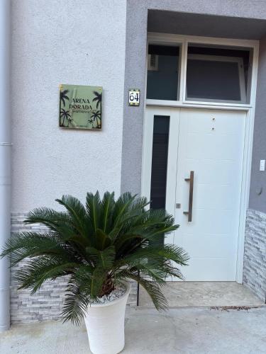 una planta en una olla delante de una puerta en Arena Dorada apartaments Margarita, en Balestrate