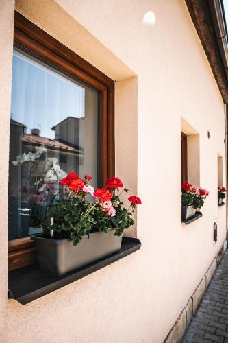 a window with a pot of flowers on a window sill at Rodinný dům Alois in Hronov