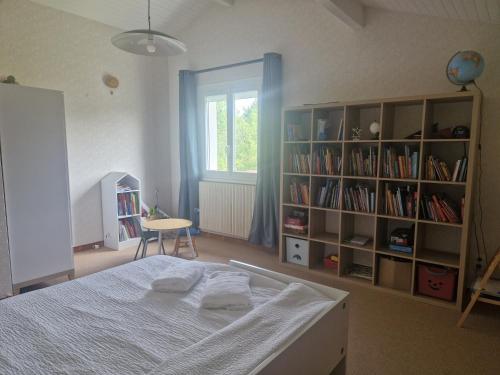 アスカンにあるVilla basque piscine chaufféeのベッドルーム1室(ベッド1台付)、本棚(本付)