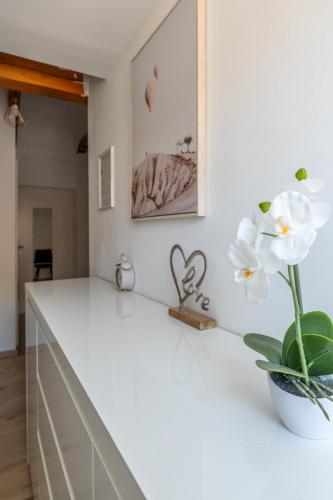 a white kitchen counter with a plant on it at Comfortable Stay for Families and Business Travelers - 5 Guests, Fast WiFi, Near Station in Leoben