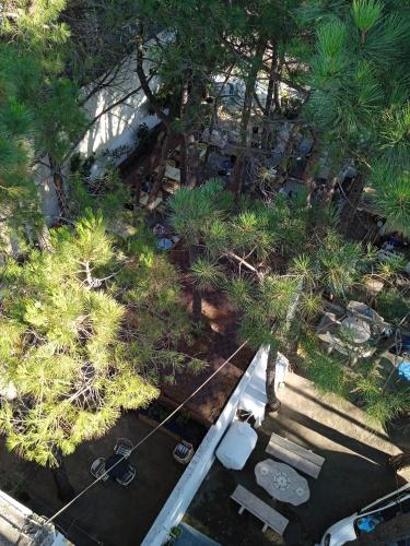 an overhead view of a garden with trees and plants at Sunny Side Apartment Shkoder Albania in Shkodër