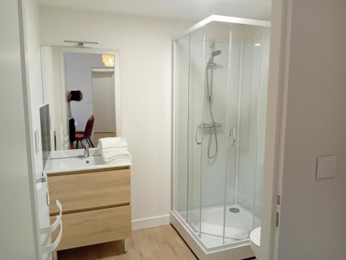 une salle de bain avec une douche en verre et un lavabo dans l'établissement Vichy Sejour, à Vichy