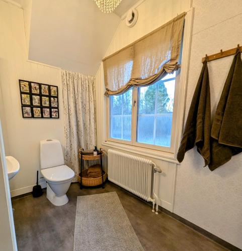 a bathroom with a toilet and a window at Villa Långgatan in Föllinge
