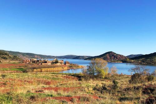 a group of cows standing on a hill next to a lake at Gites au Cœur de la Nature, Piscine et Vue sur le Lac du Salagou in Le Puech