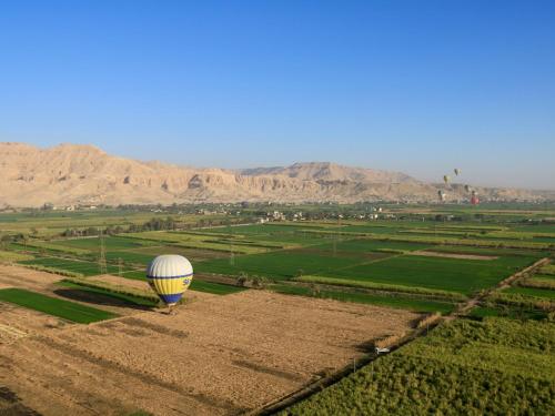 a hot air balloon flying over a field at Winter apartment in Luxor
