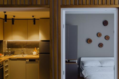 Kuchyňa alebo kuchynka v ubytovaní DivciCasa apartments Divčibare